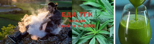 индика Надым