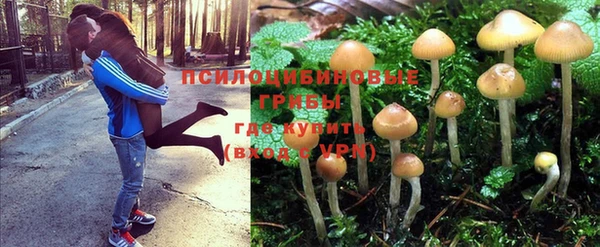 скорость Нея
