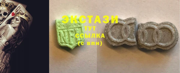 индика Надым
