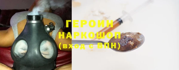 индика Надым