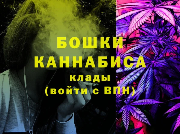 индика Надым