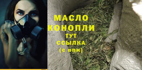 индика Надым