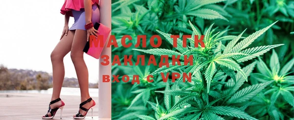 индика Надым