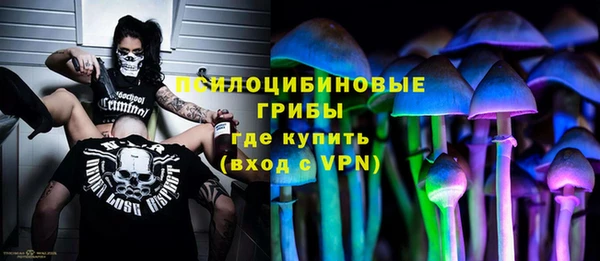 индика Надым