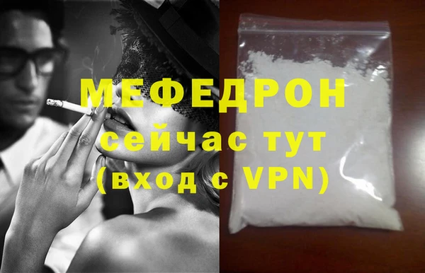 индика Надым